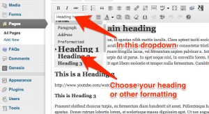Publishing Help- Formatting Text